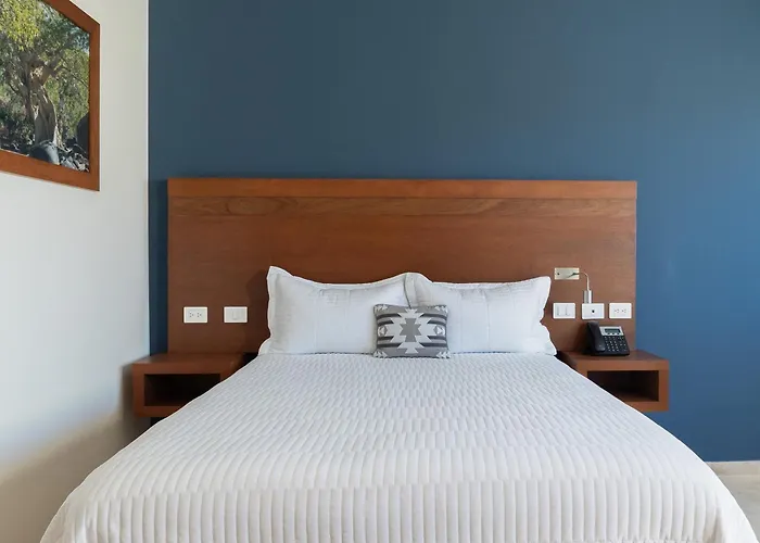 Gamma Cabos 3* San José del Cabo